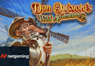 Don Quixote's Wild Adventures